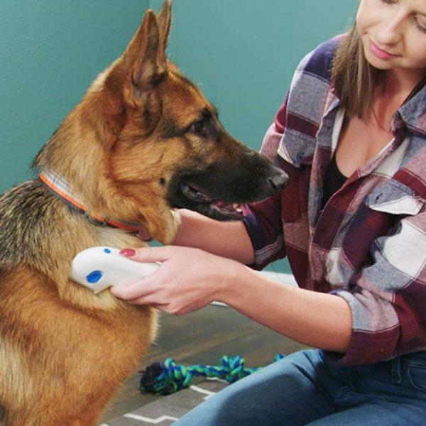 Flea Doctor Electric Pet Flea Removal Brush and Comb